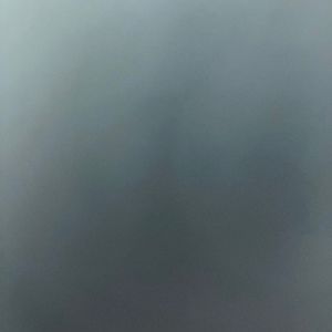 Meet your Posher, Jackson